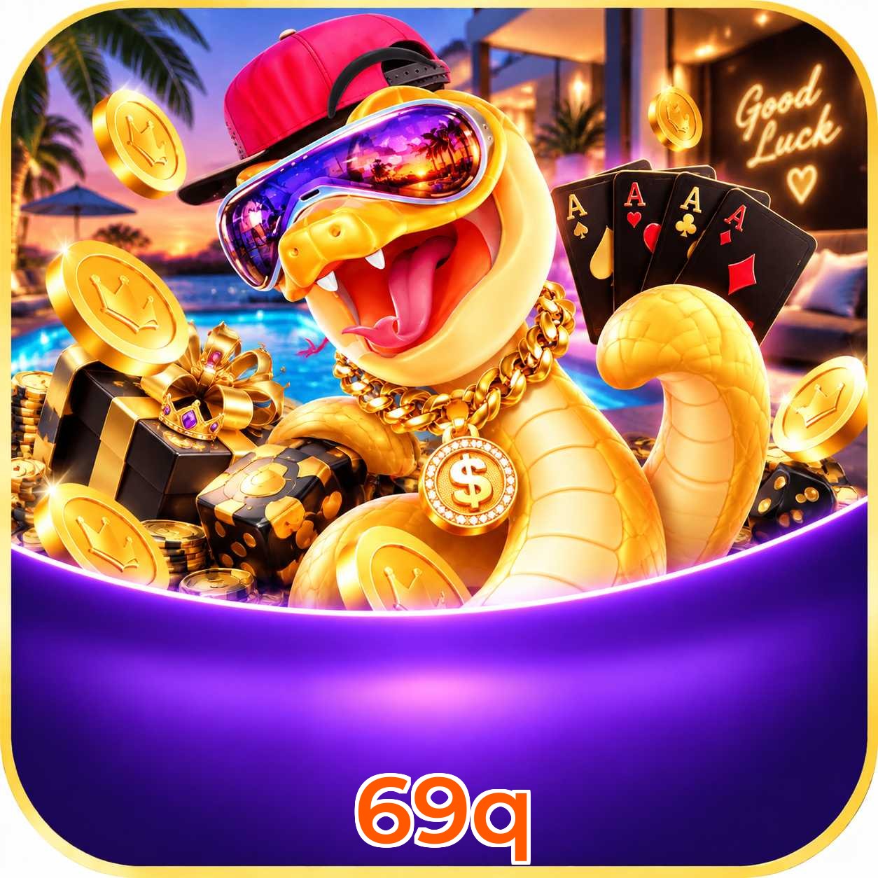 69q FAQ