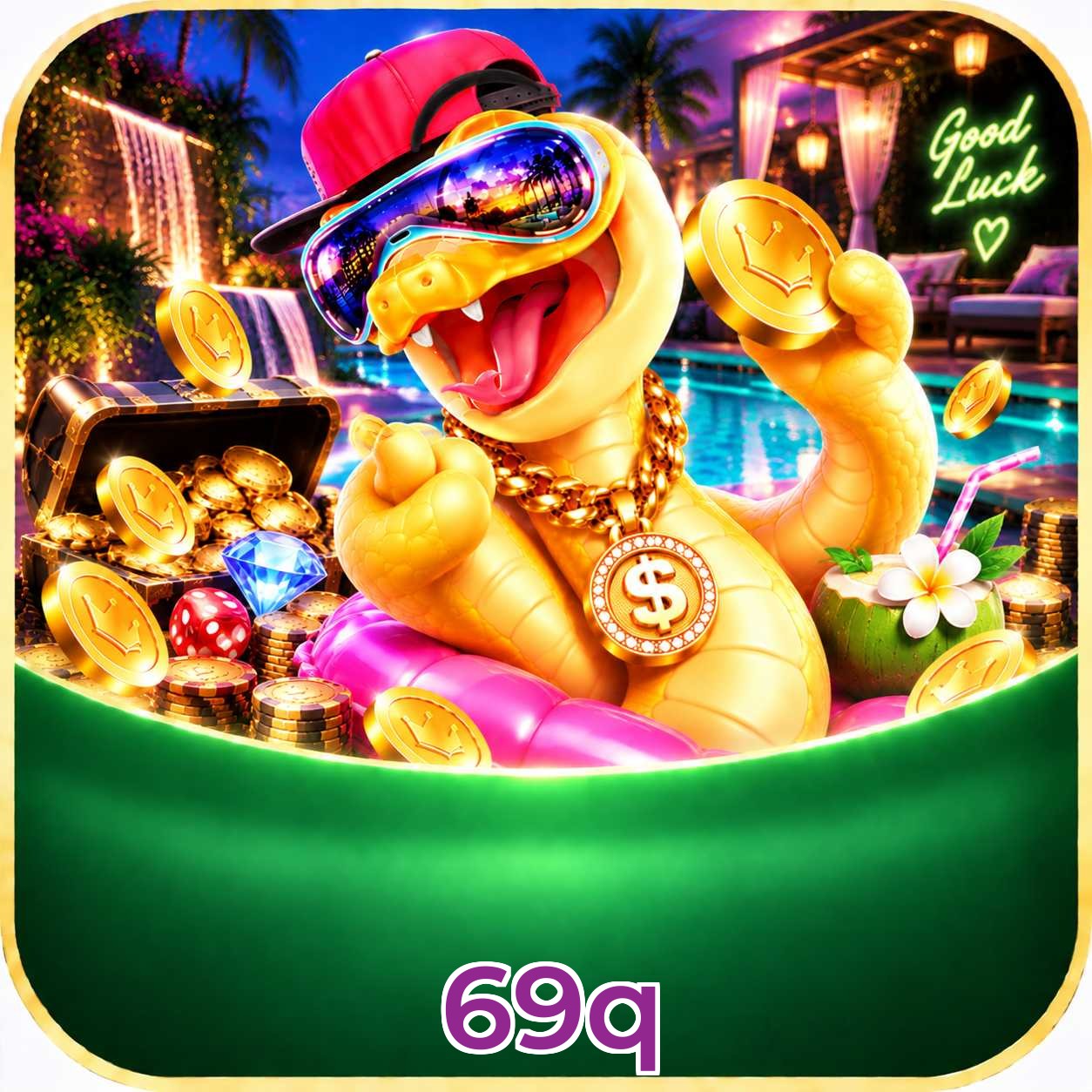 69q Logo
